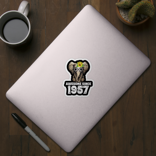 Awesome since 1957 63 Years Old Bday Gift 63th Birthday by DoorTees